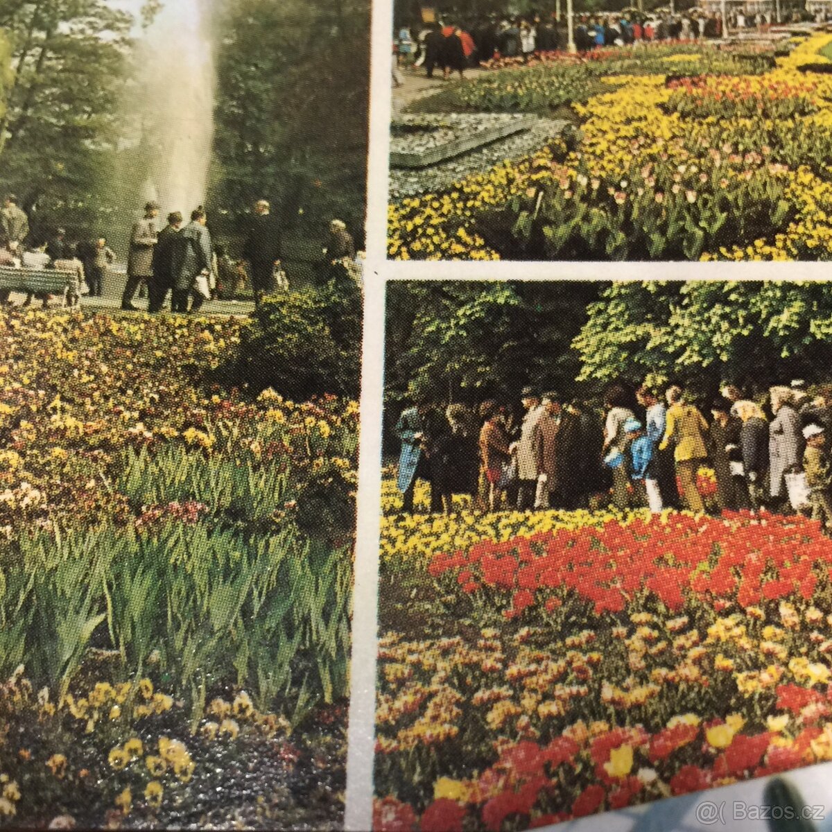 staré pohledy Olomouc výstava Flora - 9