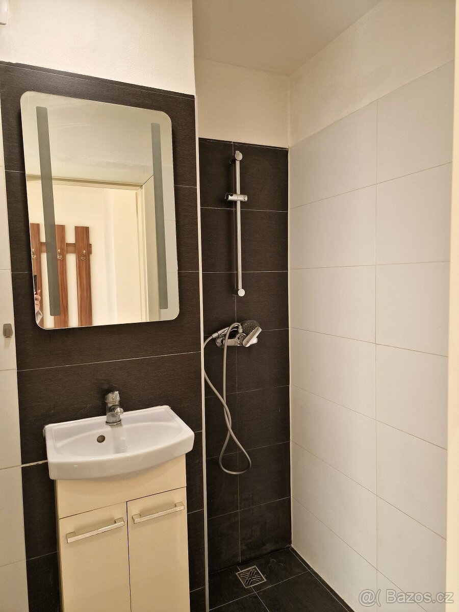 Pronájem 1+kk (garsoniéra) Ostrava Hrabůvka - 9