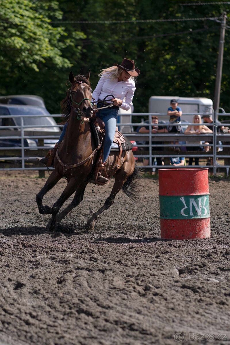 Klisna A1/1 9let - 9