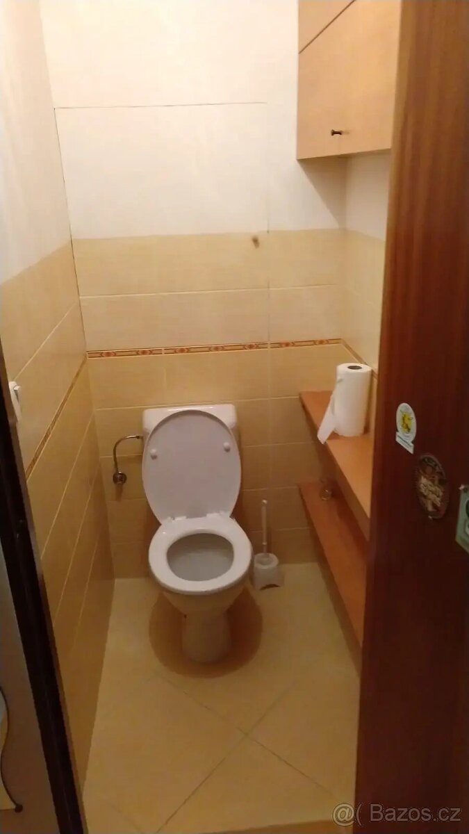 Pronájem bytu 2+kk 50 m² - 9