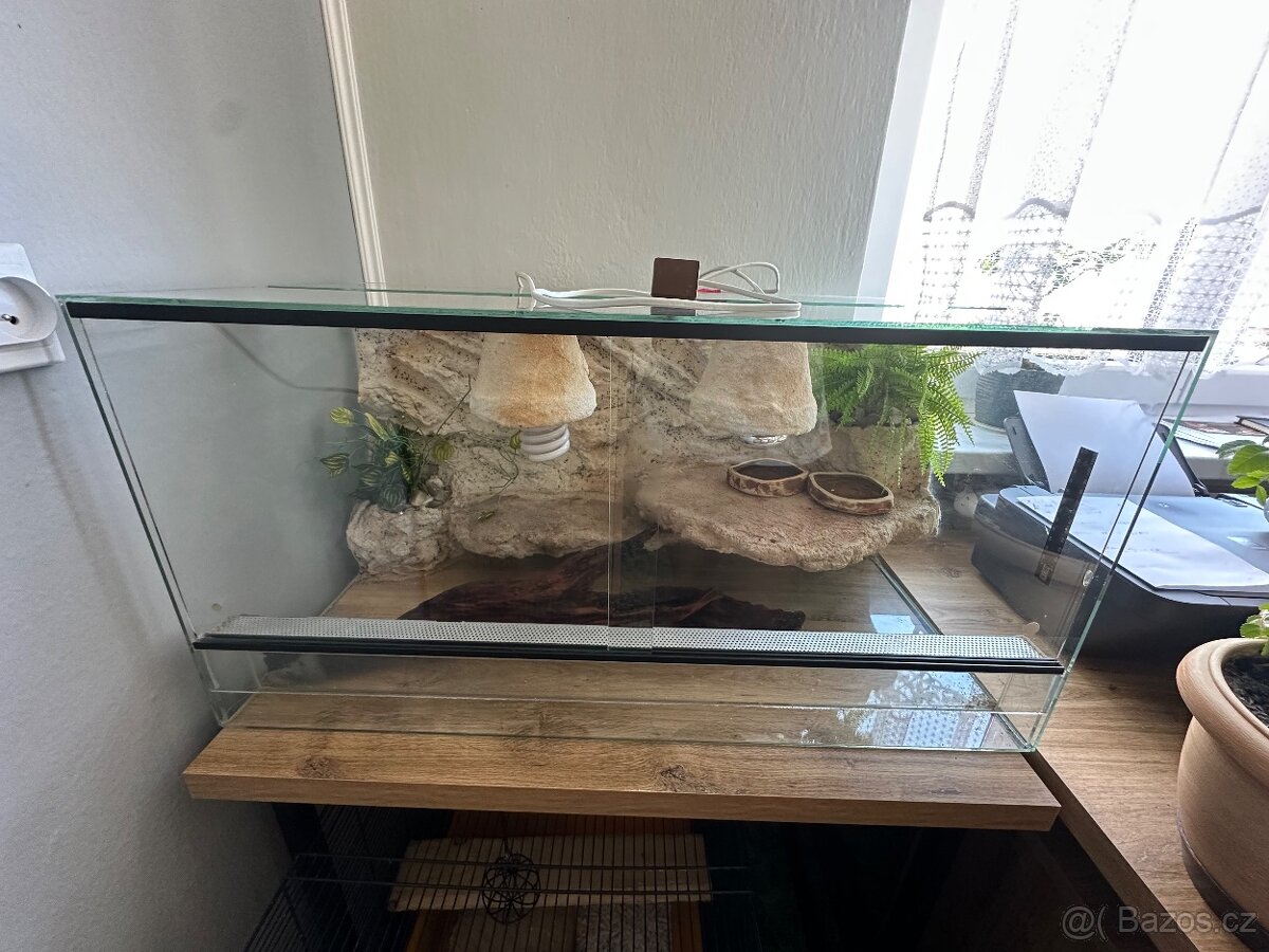 Terárium pro agamu - 9