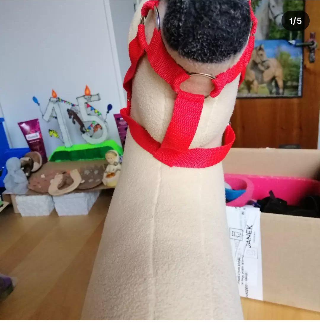 Hobby horse - vybavení - 9