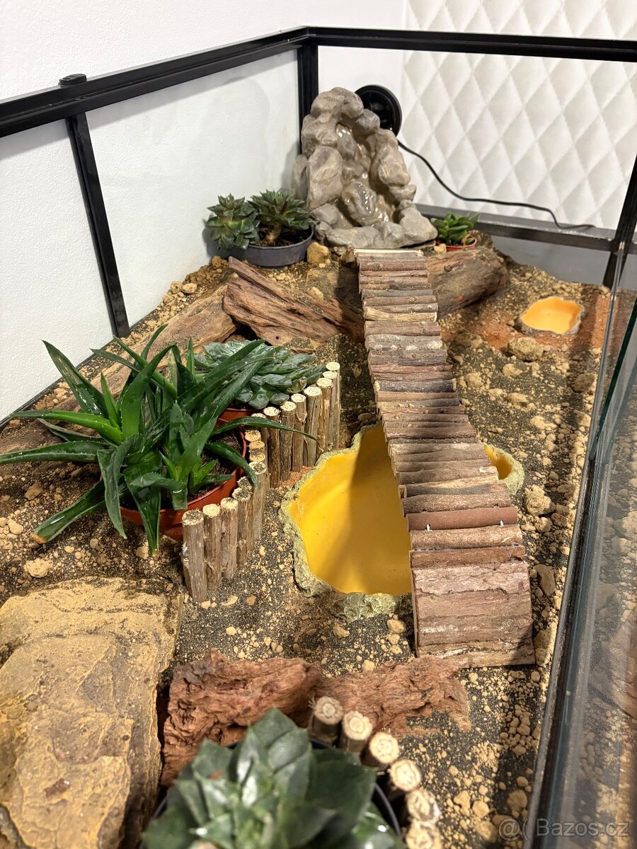 Kompletní terárium ReptiPlanet – plně vybavené - 9