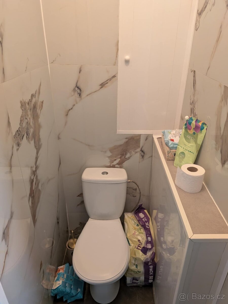 Prodej bytu 2+1 DV, ul. Vrchlického, Chomutov - 9