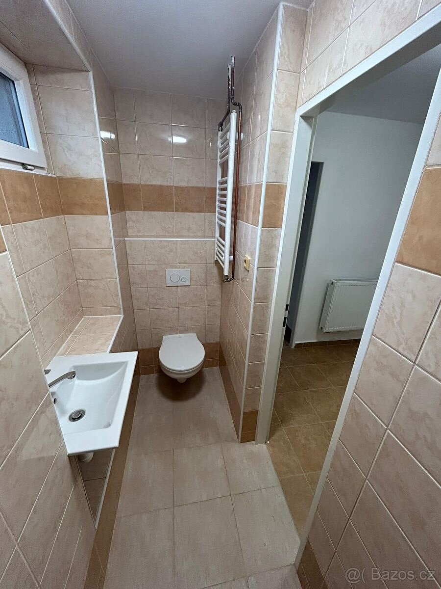 Pronájem bytu 1+1 Chodská Lhota - 9