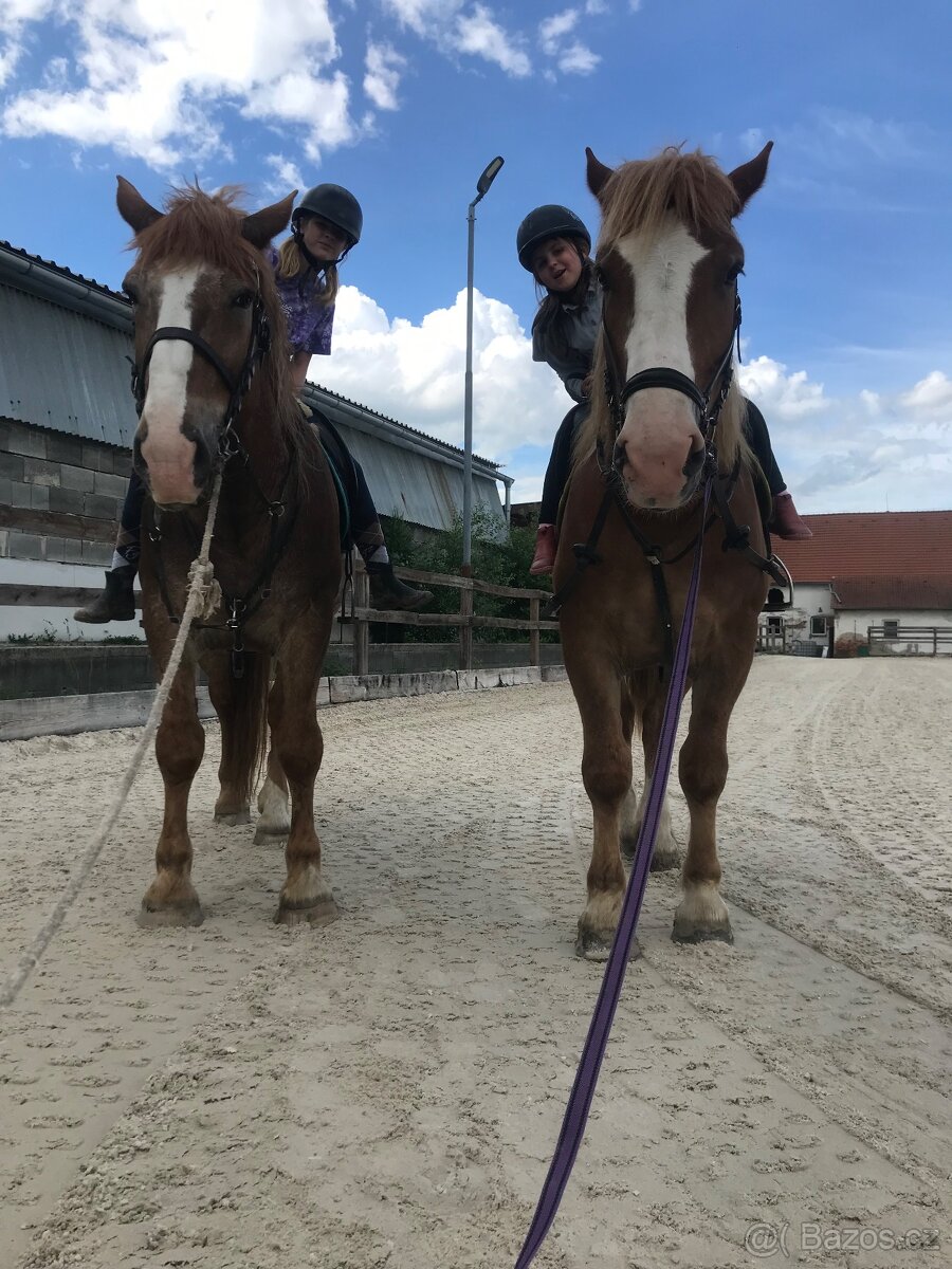 Jízda na koni, jízda kočárem, kroužek, voltiž, tábory - 9