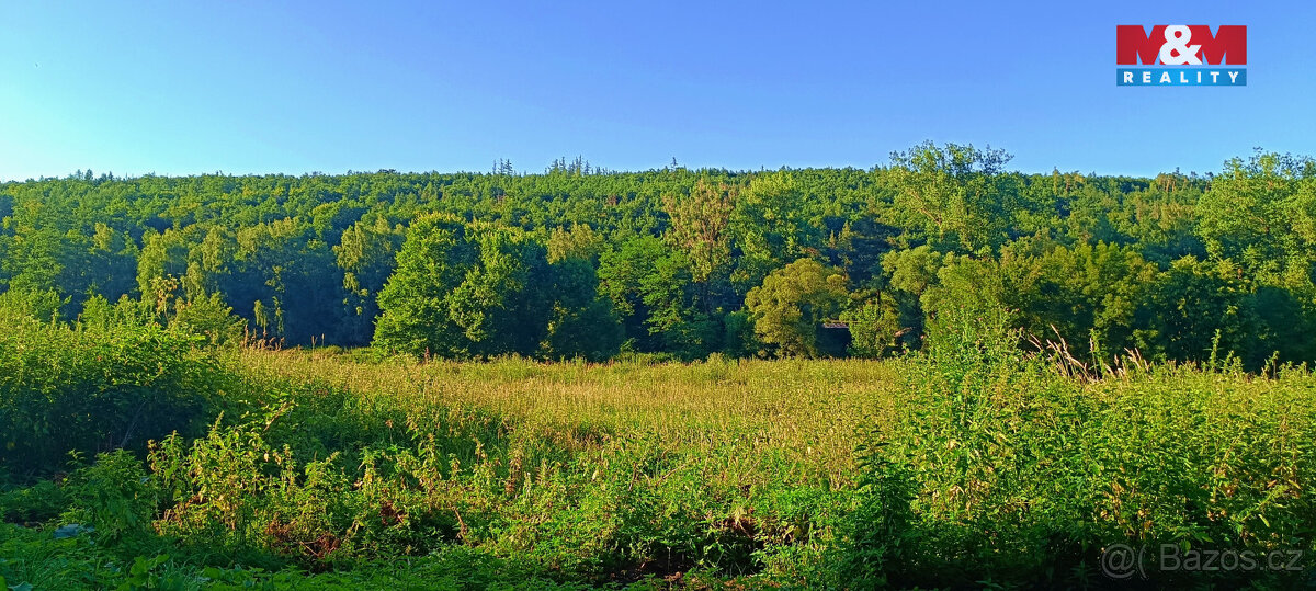 Prodej louky, 1665 m², Nižbor - 9