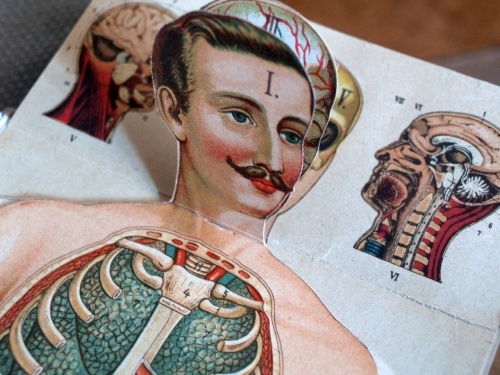 Bilzovo nové léčení přirozené první vydání 1897 - 9