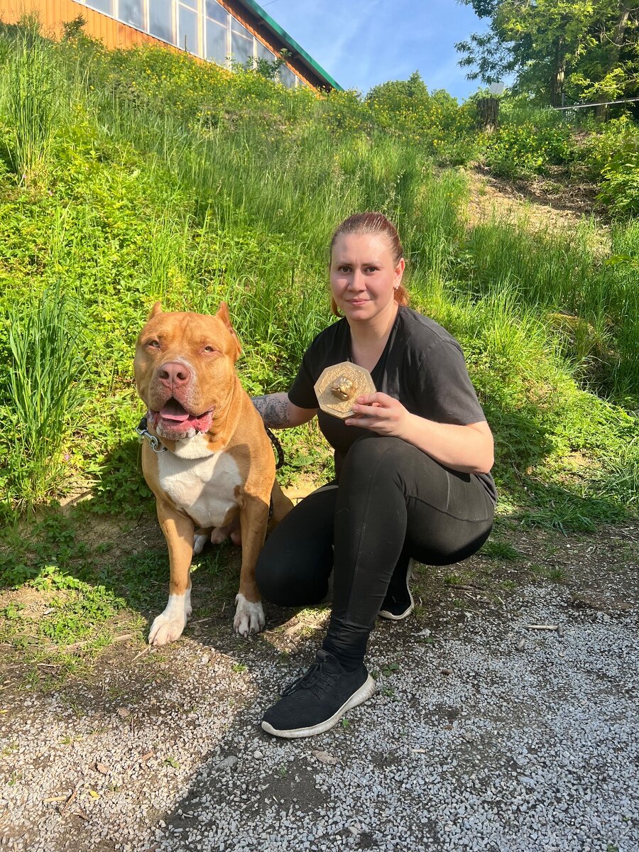 Krytí American Bully XL s PP - 9