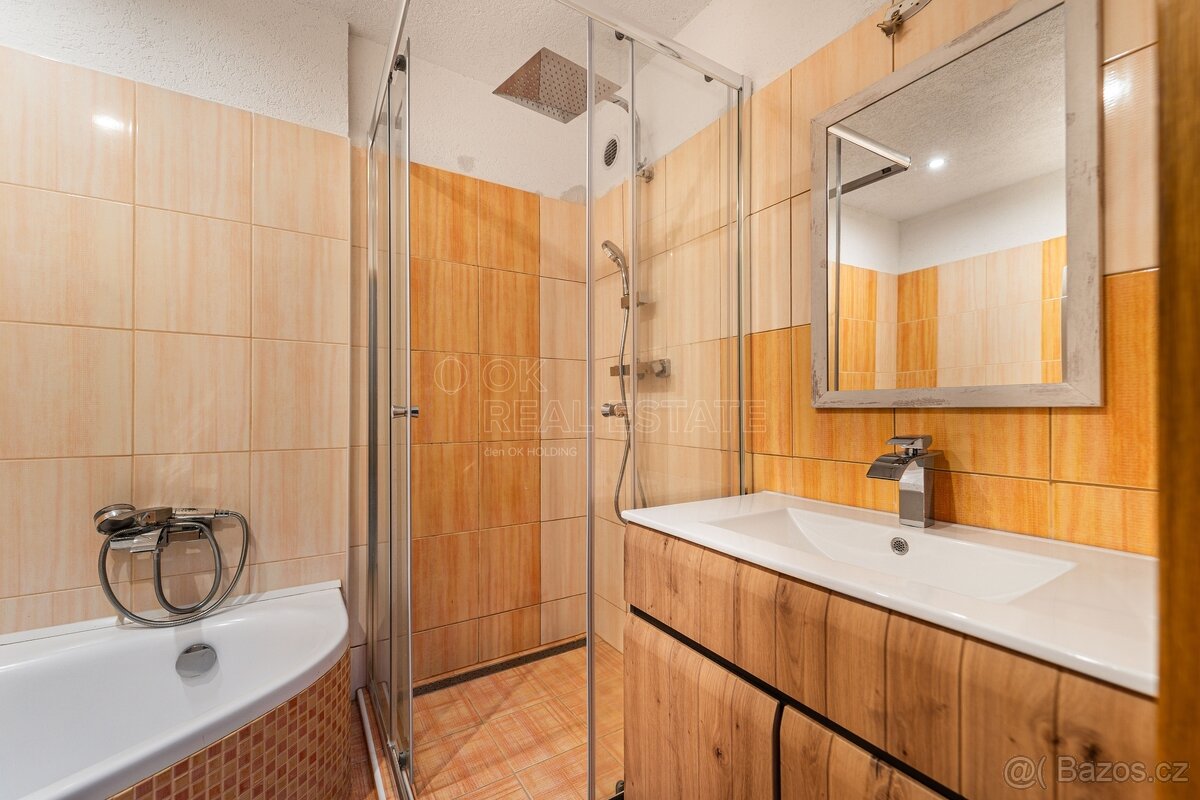 Prodej bytu 3+1 - 9