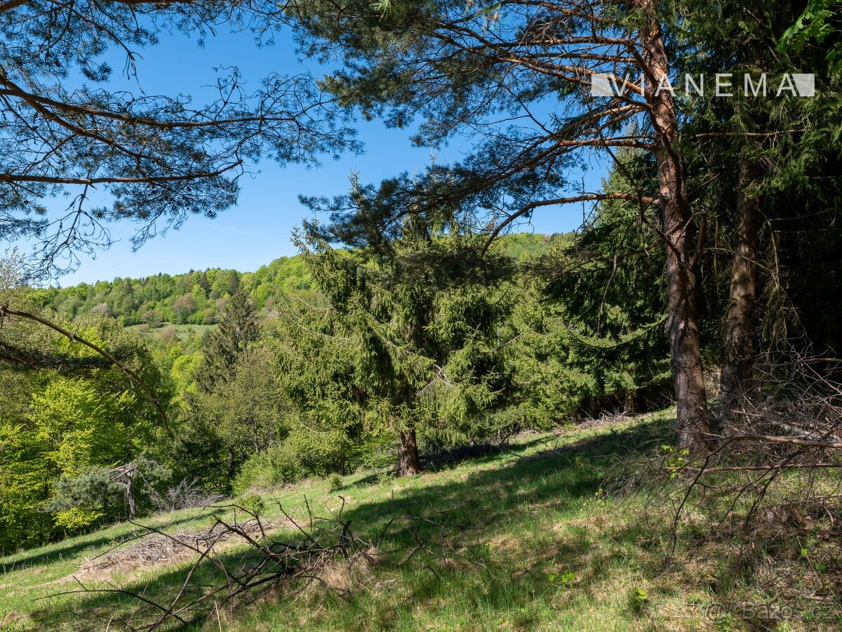 POUZE U NÁS Pozemek na samotě v lese - Lazy pod Makytou - 9