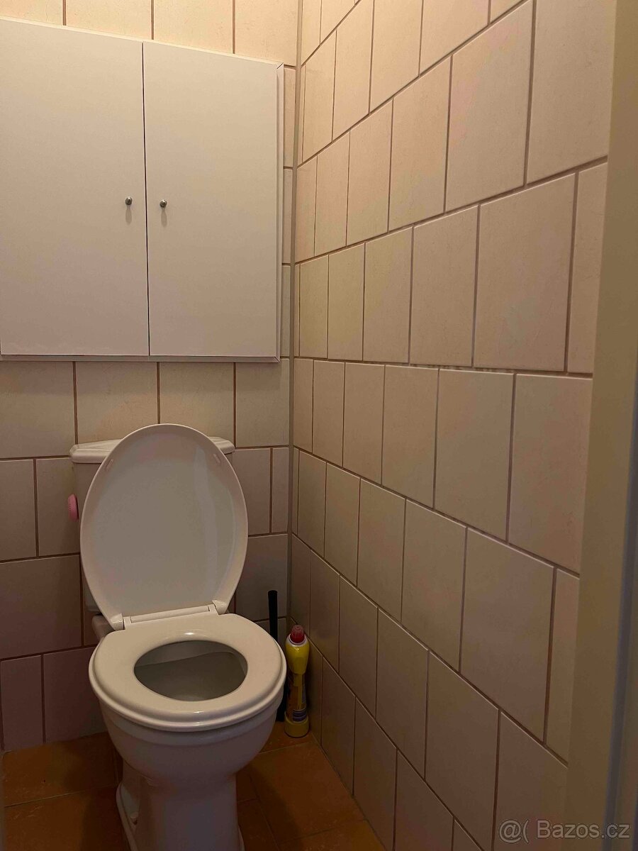 Podnájem bytu 3+1, 67 m², Orlová - 9