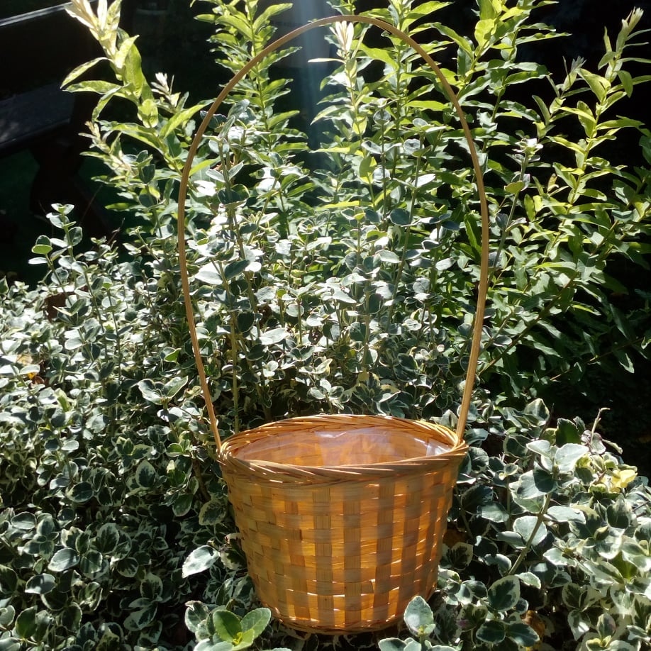 PROUTĚNÁ NOVÁ KOLEKCE,DUŠIČKOVÉ KOŠE OD 55KČ - 9