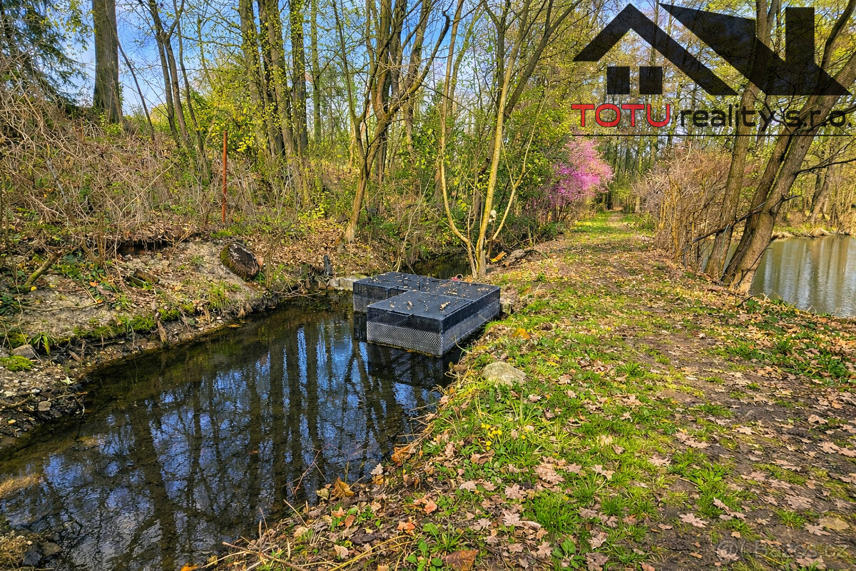 Prodej, rybník Velký Přelov, 44 772 m2, Černožice - 9
