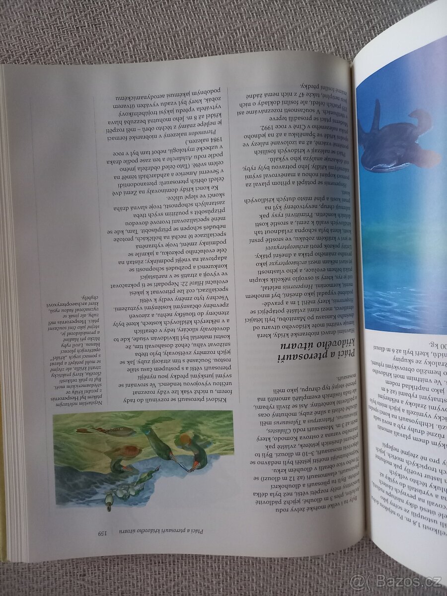 Dějiny planety země - 9