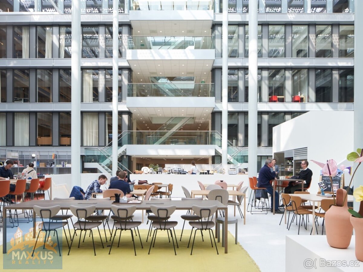 Světlem prozářená flexibilní kancelář pro 1 osobu, Praha 1 - - 9