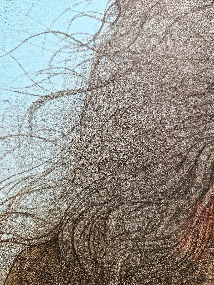 Bruno Bruni - (podpísaná litografia) ,(figurálny realizmus) - 9