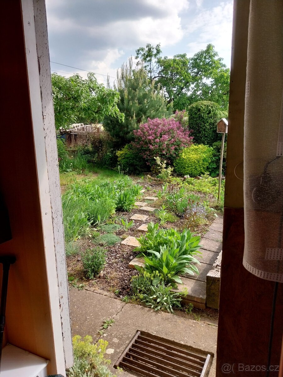 Pronájem zahrady v zahrádkářské kolonii - 9