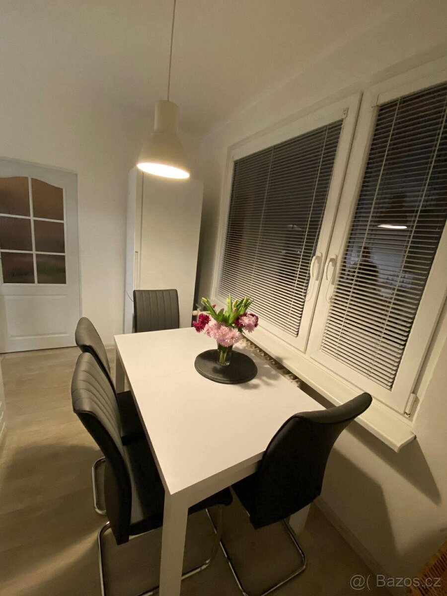 Pronájem bytu Střekov 2+1 - 9