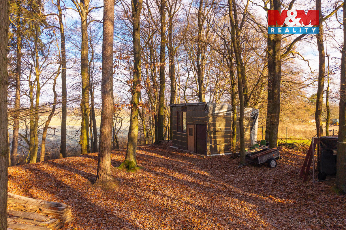 Prodej chaty, pozemek 12 745 m², Štěpánovsko - 9