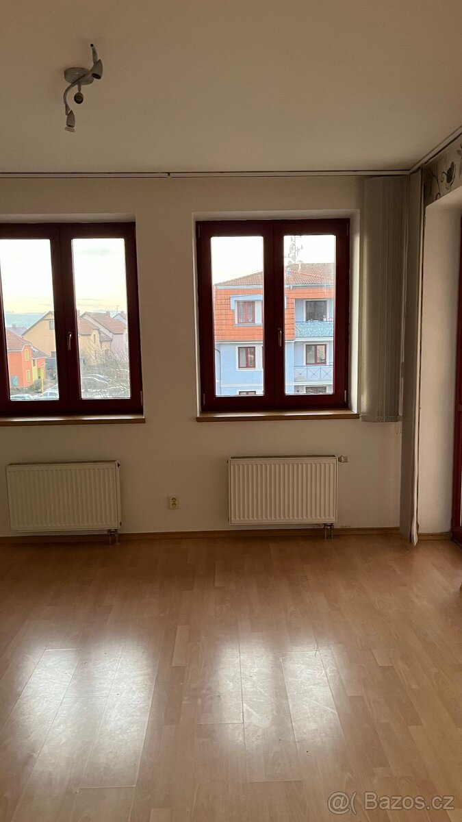 Pronájem bytu 2+1 Bílovec - 9