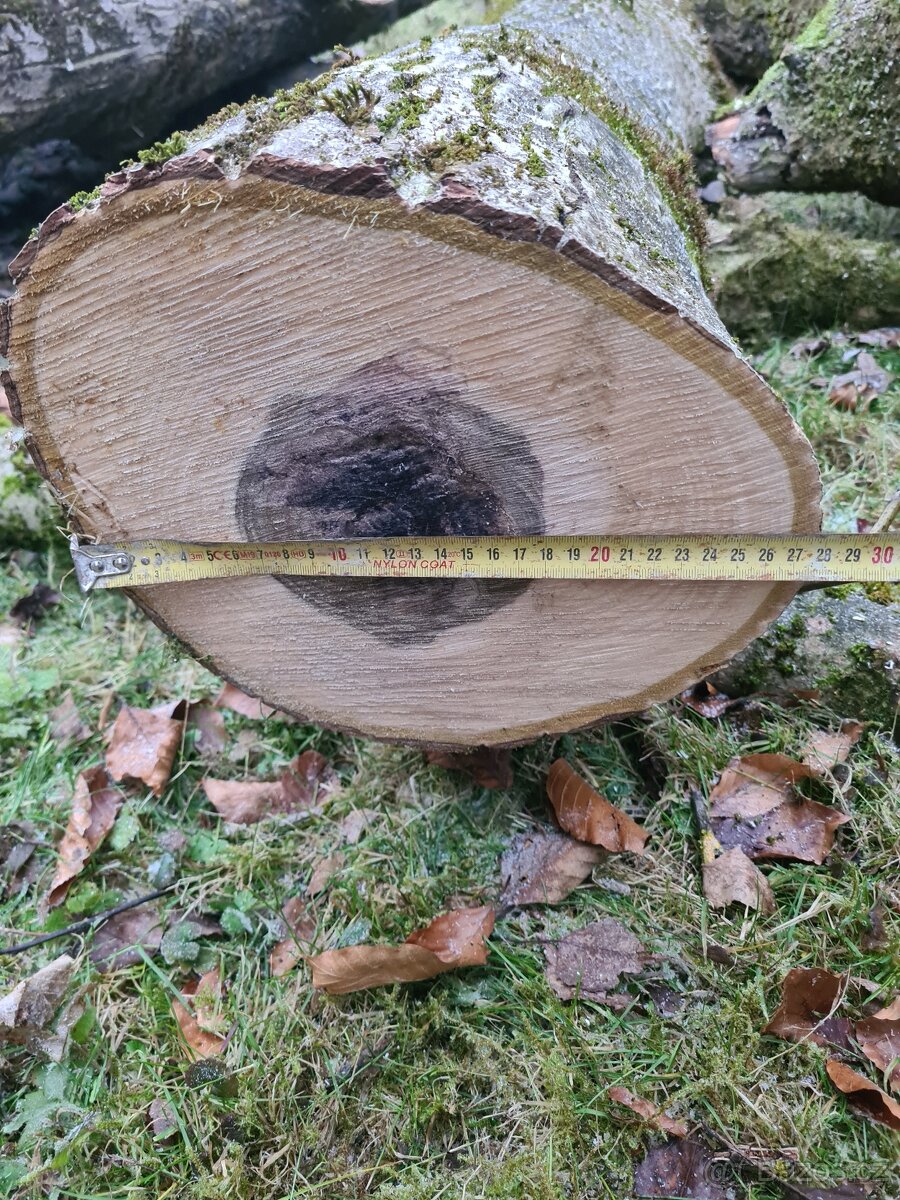 Prodám ořechové dřevo 1,5 m3 - 9