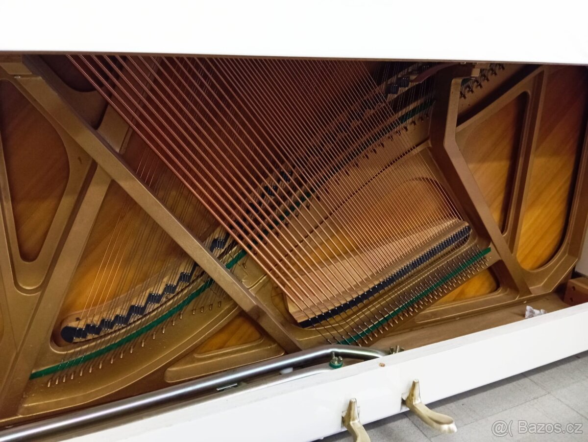 Aspheim (Hyundai)/lesk/-Dovoz i na Štědrý den 24.12. - 9