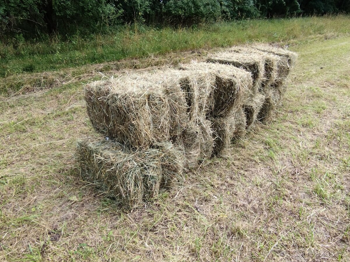 Prodám malé hranaté balíky lučního sena - 9