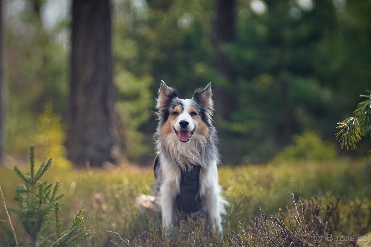 Objektiv Cyclop 100mm f2 M42 - 9