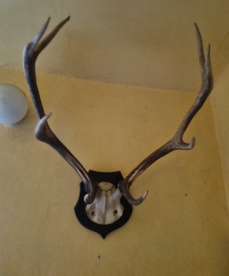 Předměty z loveckých trofejí - 9