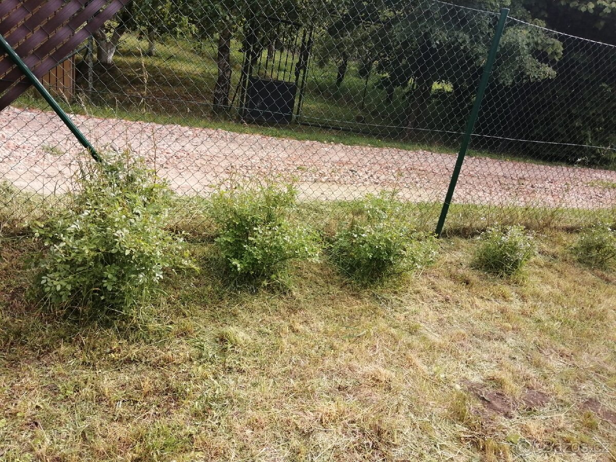 Pronájem zahrady - 9