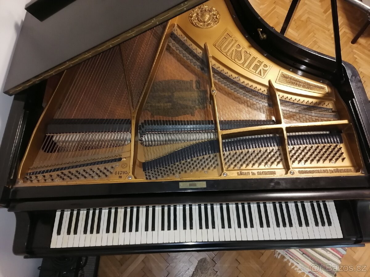 Klavírní křídlo - 9