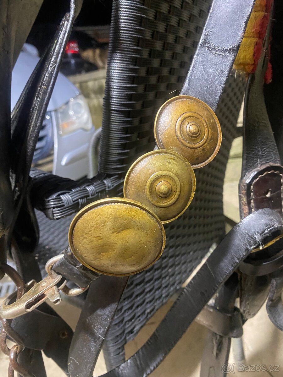 Postroje na poníky do vozu - 9