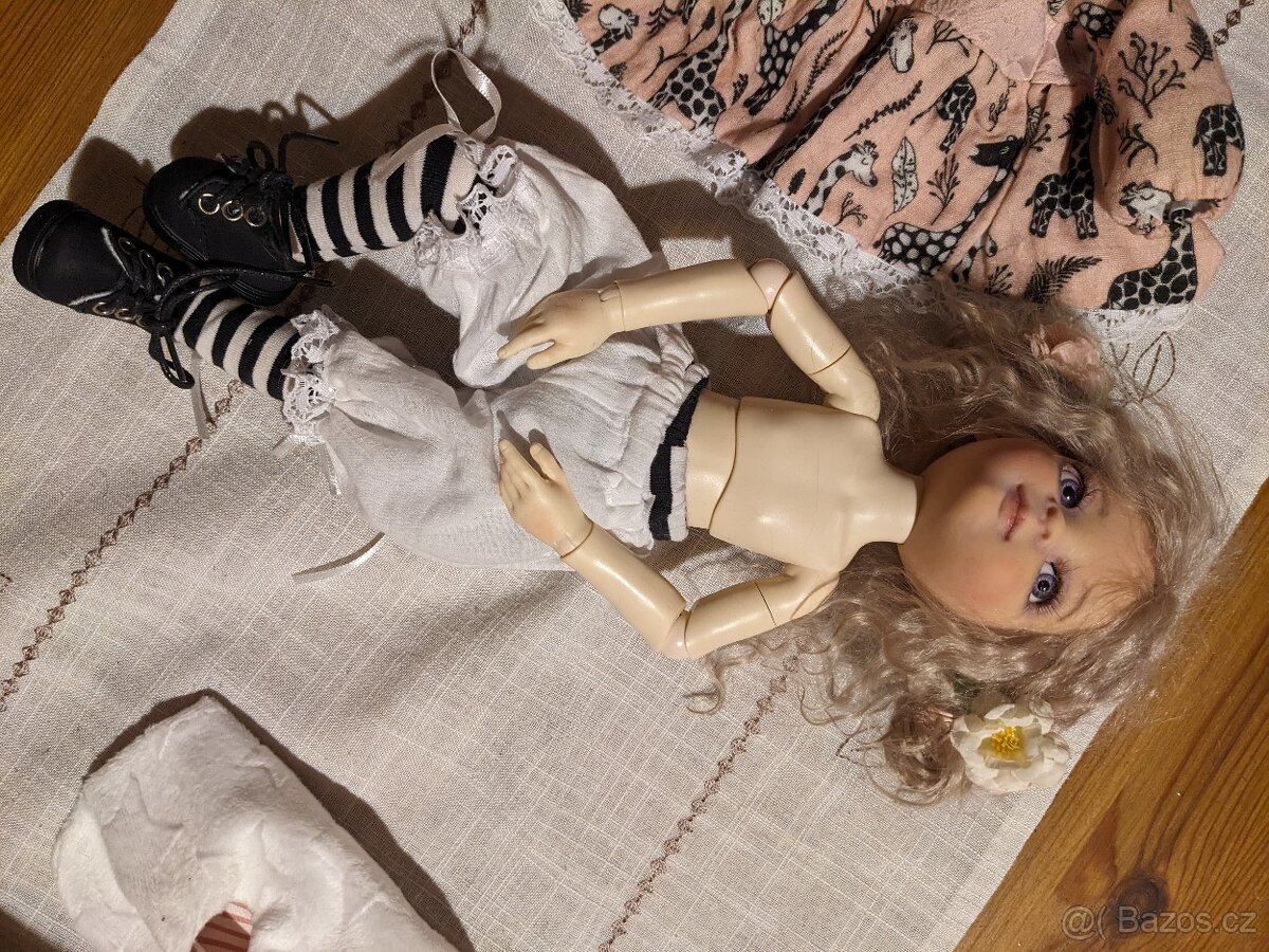 Panenka vícekloubová. - 9