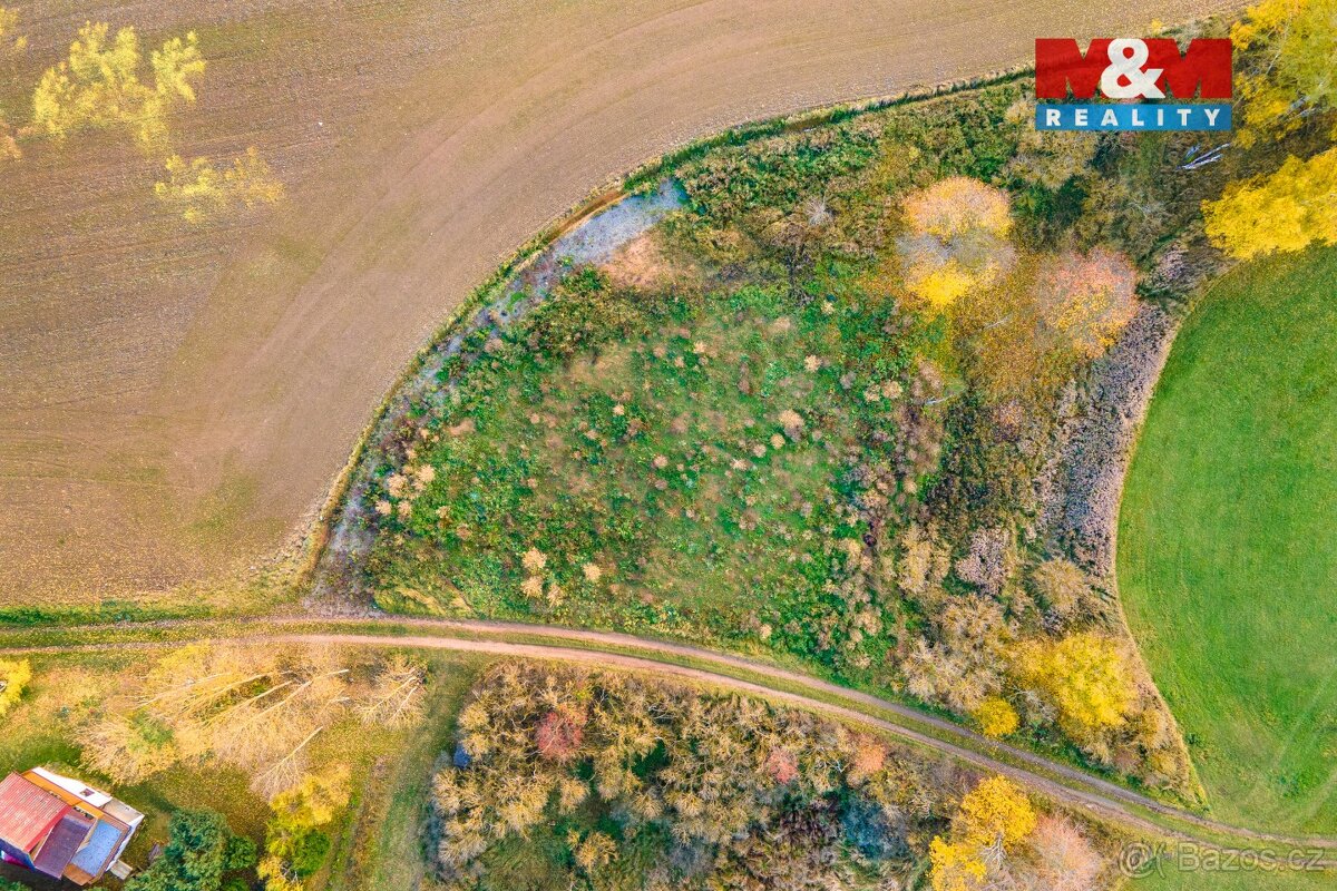 Prodej louky, 672 m², Vysoká Libyně - 9