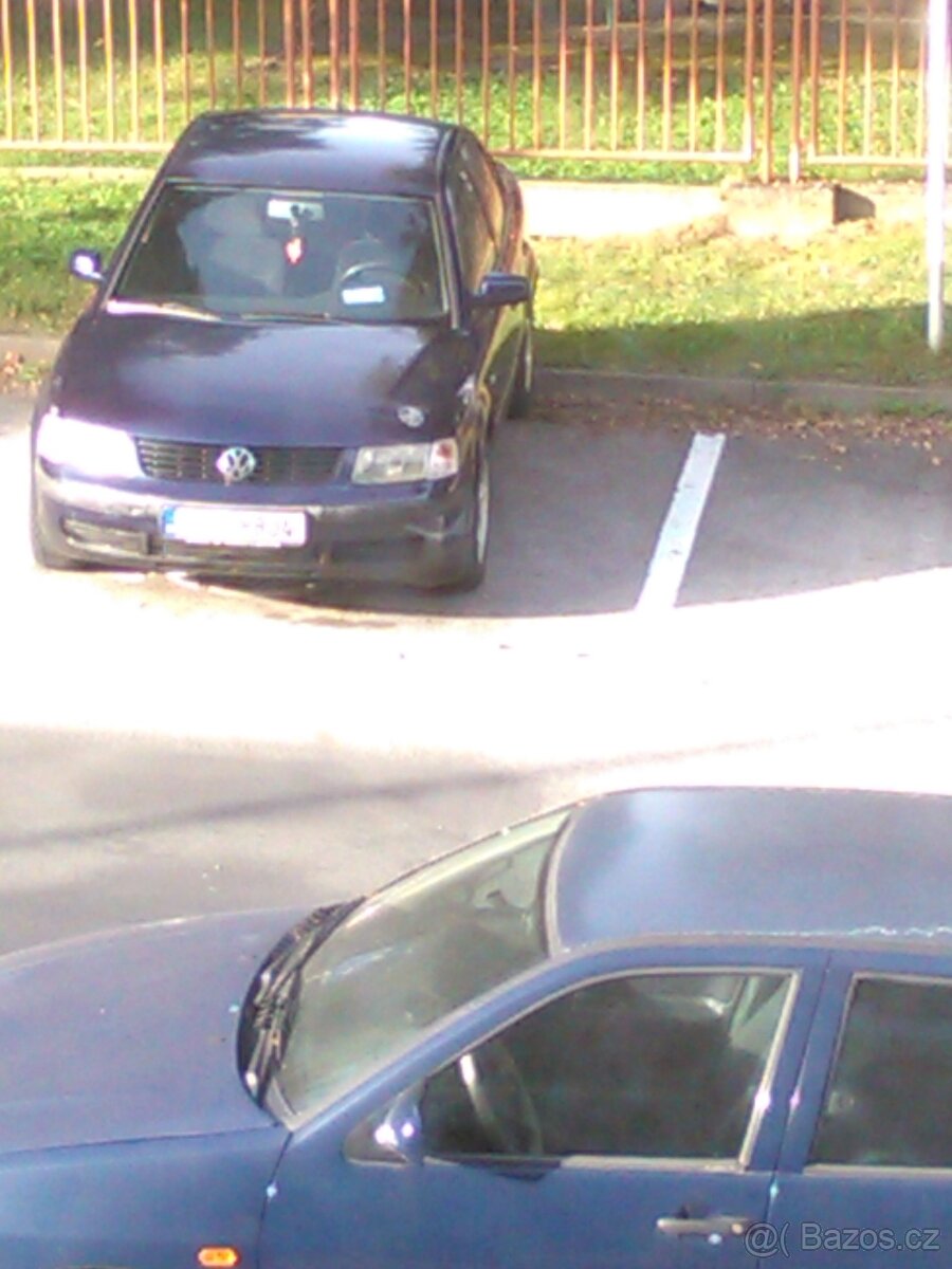 polo clasic - 9