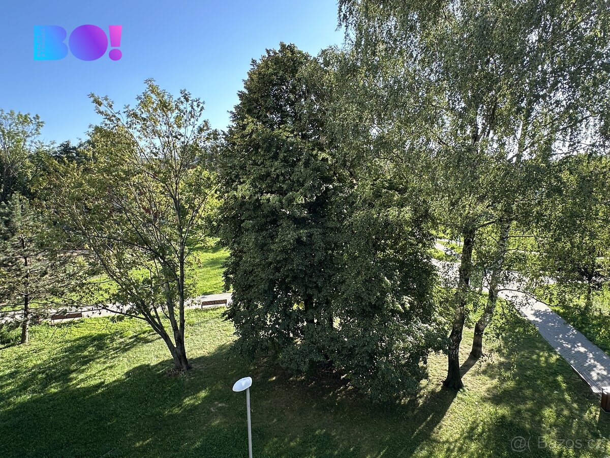 Prodej bytu 2+1, Ostrava - Zábřeh - 9