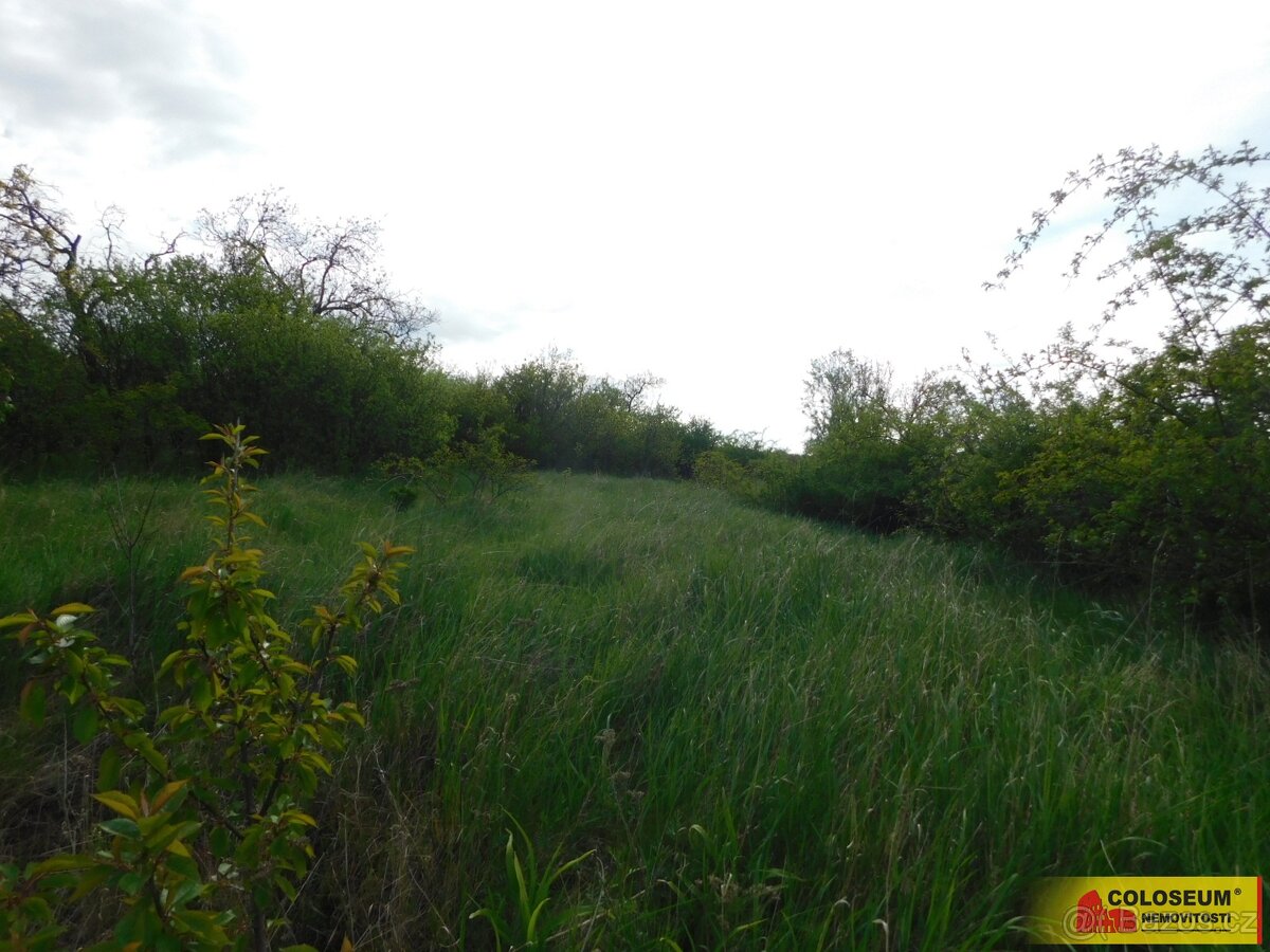 Znojmo, zahrada 473 m2, elektřina, voda, ovocné stromy - zah - 9