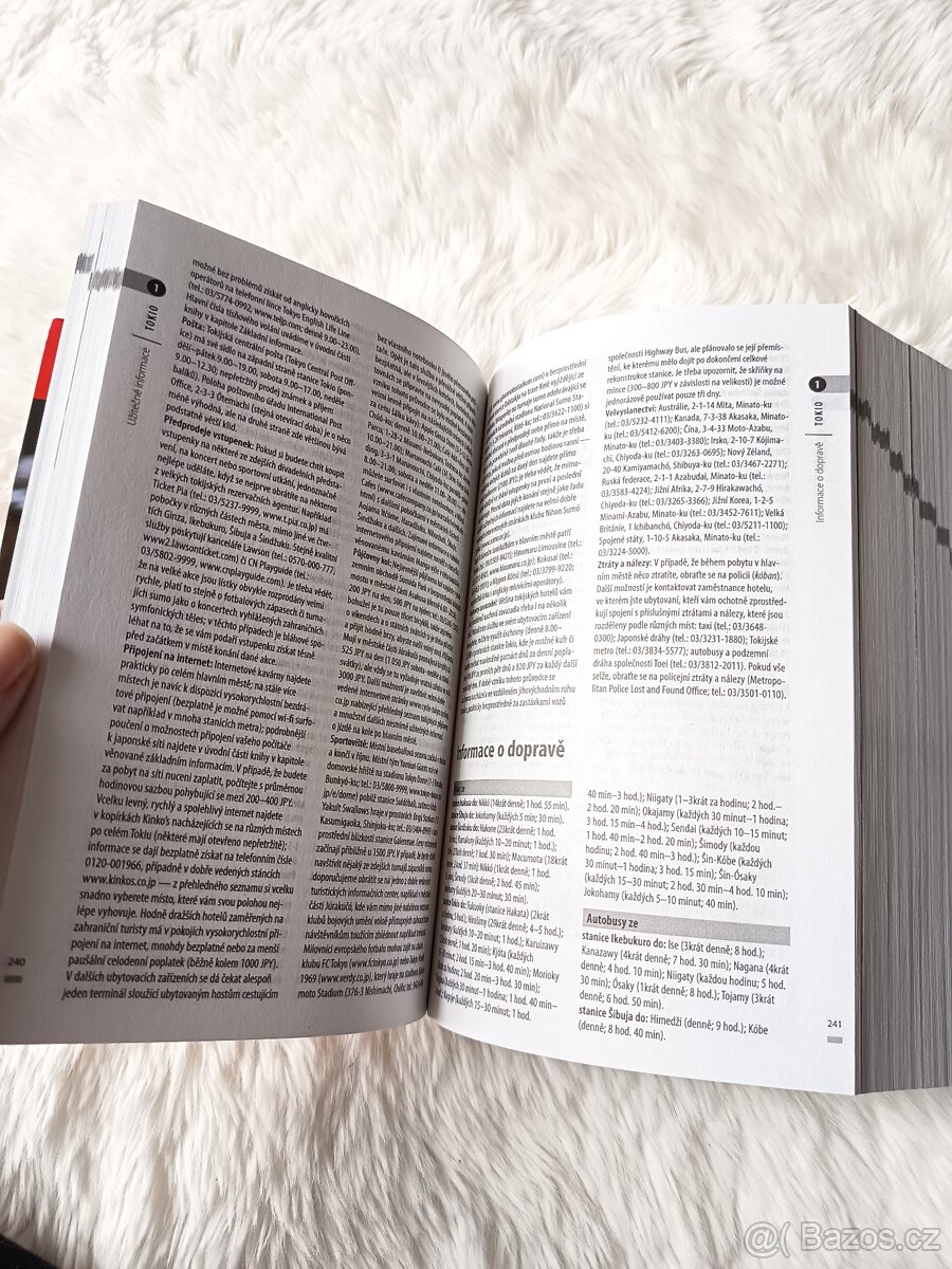 Japonsko turistický průvodce - 9