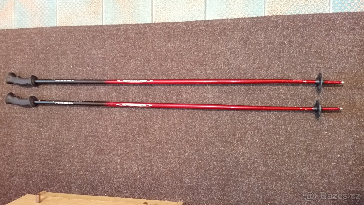 Sjezdové lyže Dynastar Driver X08 - 9