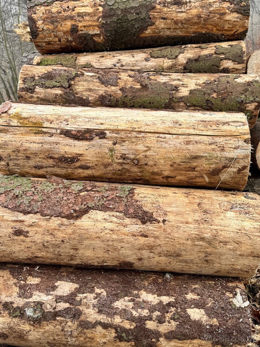 Prodej palivového dřeva - 9