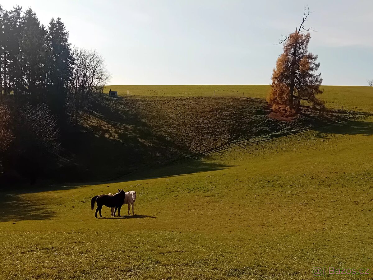 Pastevní ustájení - 9