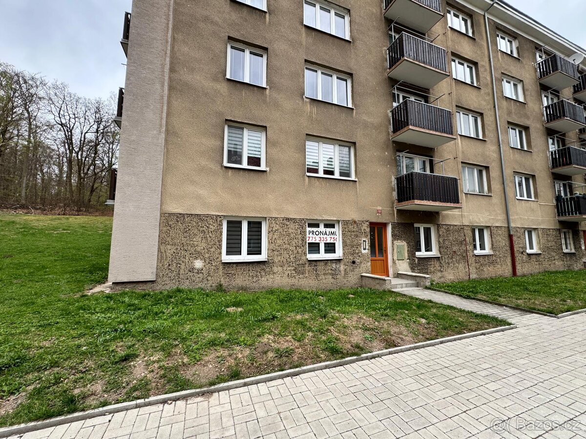 (325) Pronájem, byt 1+1, 31 m, Okružní 232, Meziboří - 9