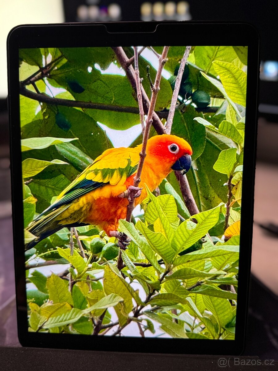 iPad Pro 11´´ WIFI A1980 - 9