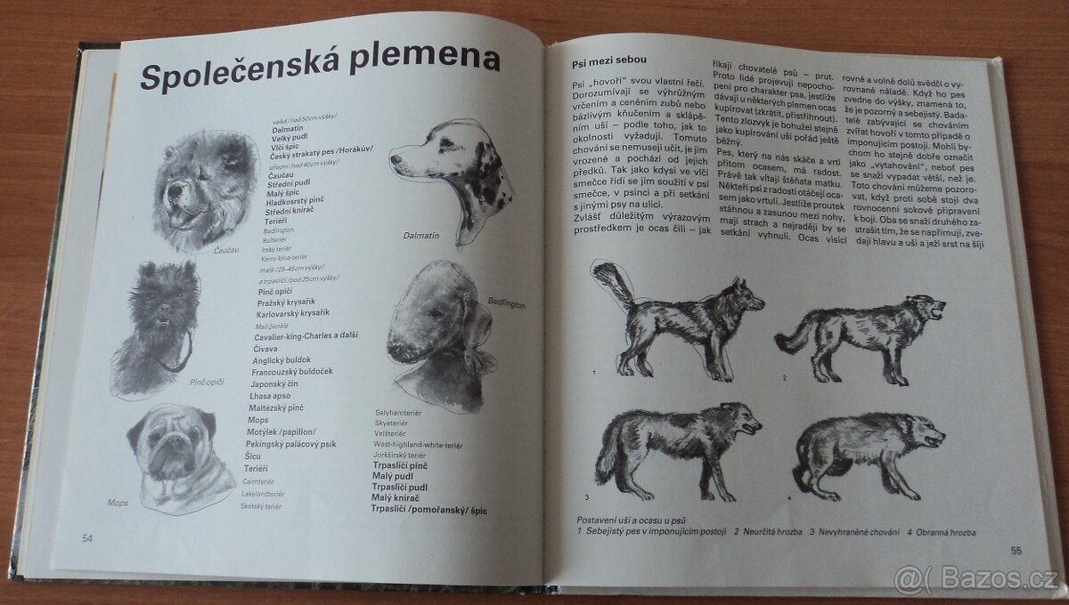 Psi, Stavby zvířat - 9