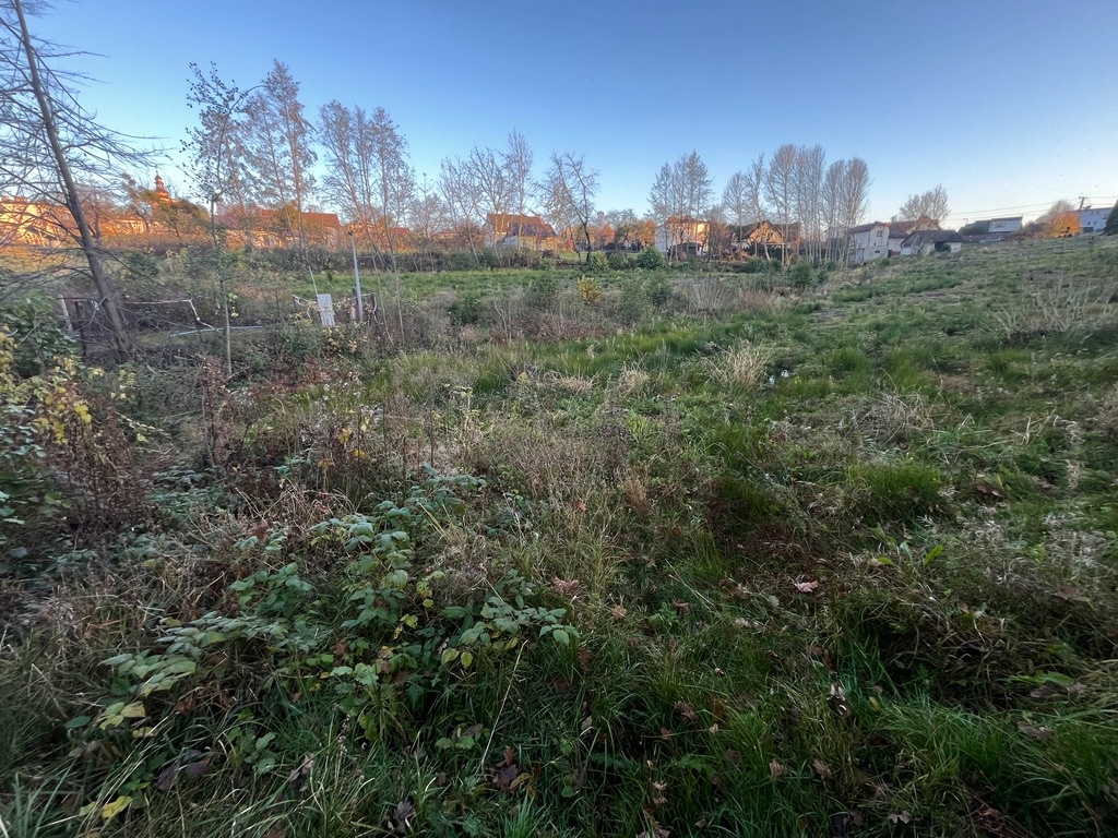 Prodej, pozemek 4200m2 - 9