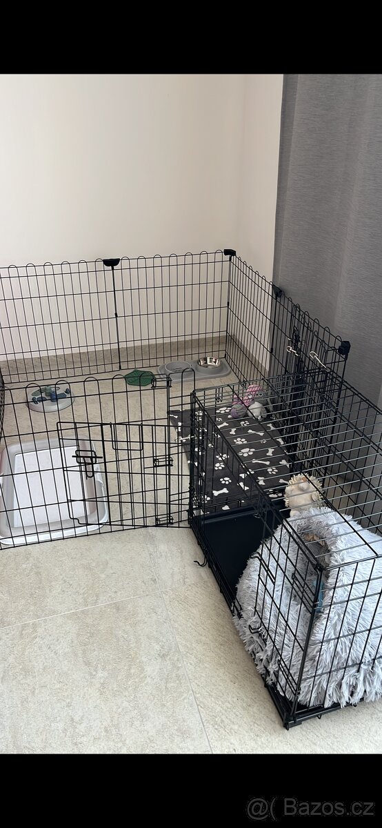 Základní výbava pro štěně/ puppy starterpack - 9