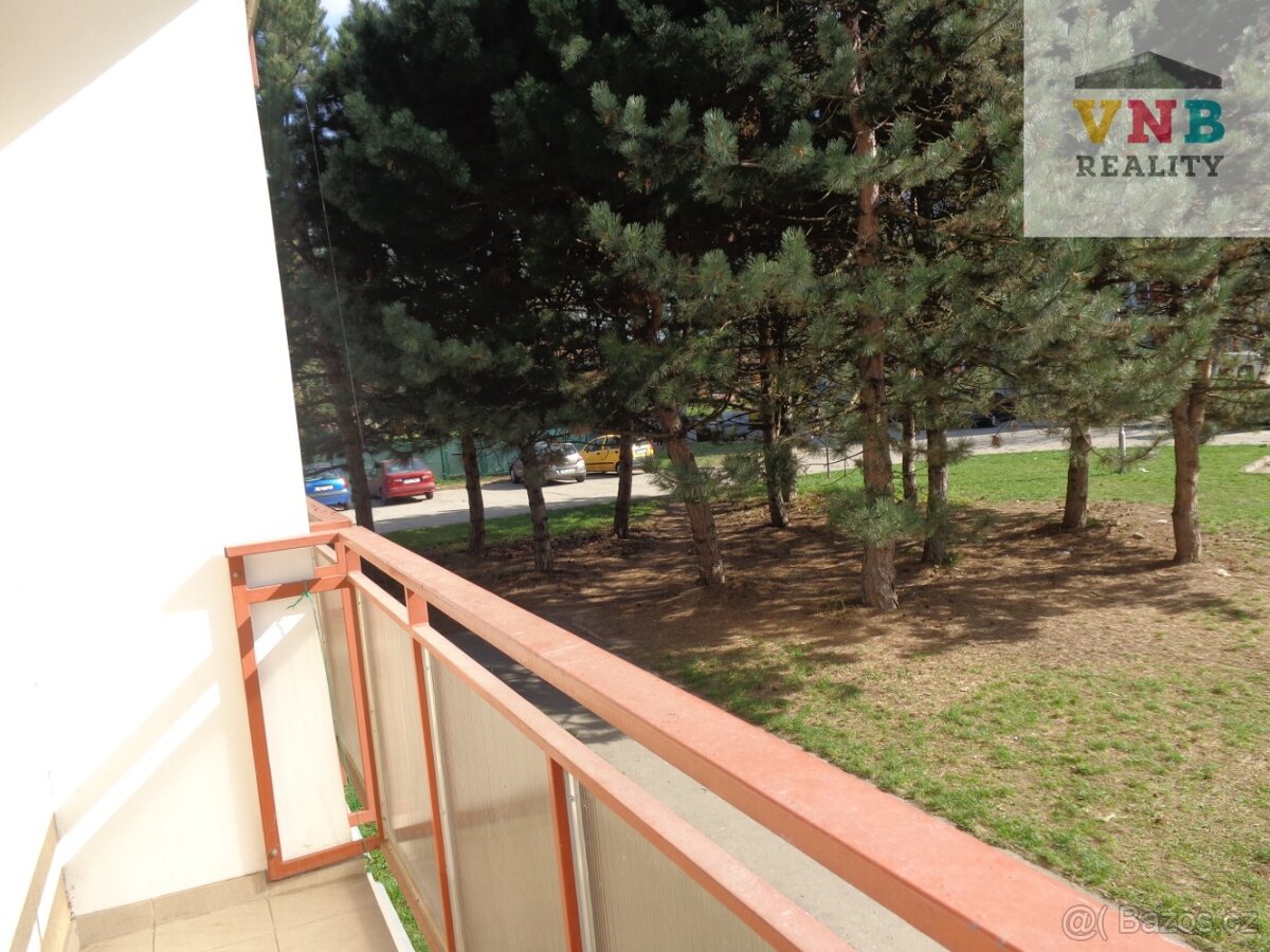 Pronájem bytu 1+kk - 9