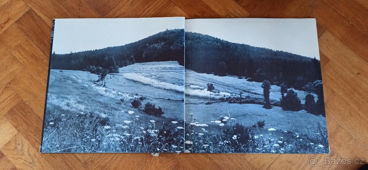 Gramofonové desky - 9