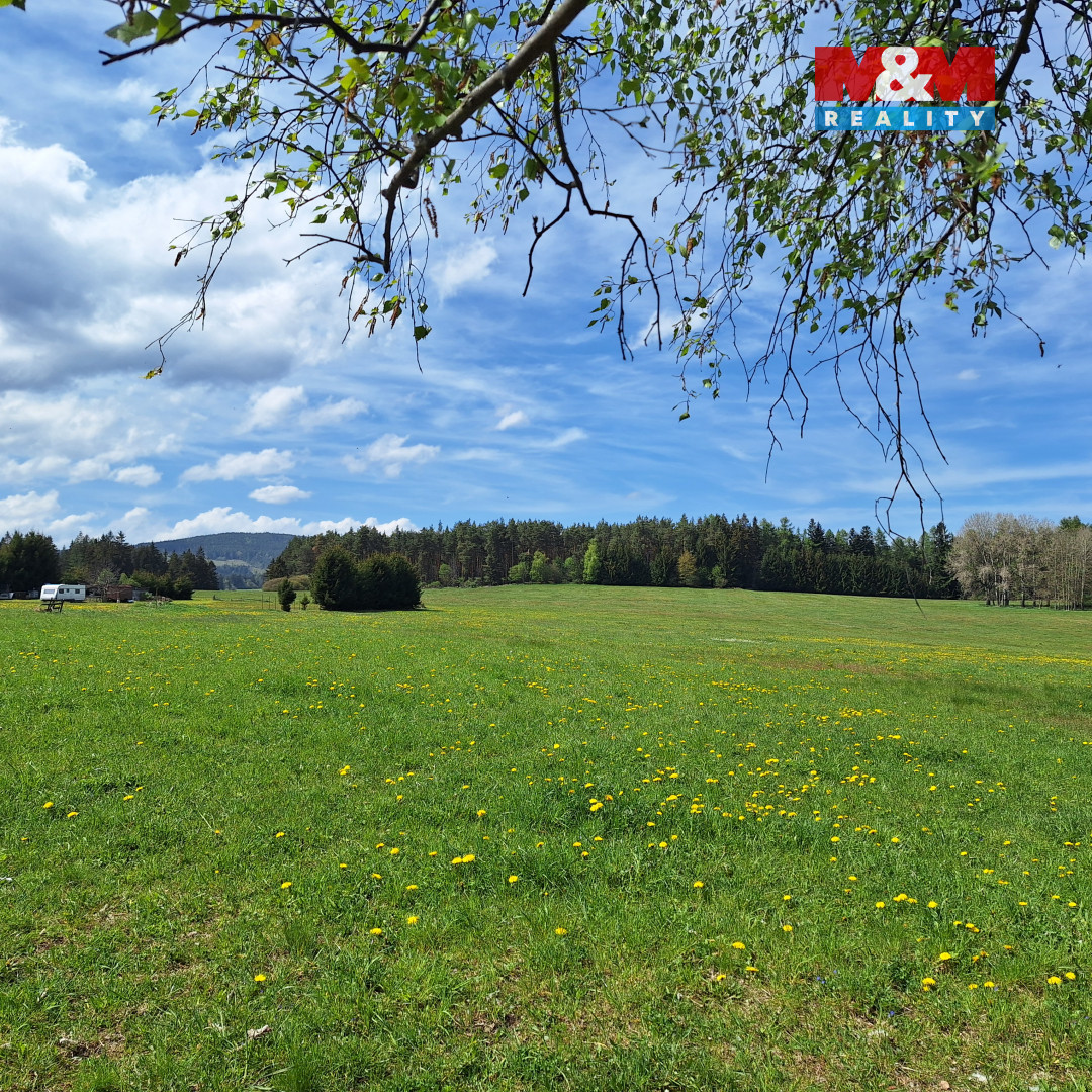 Prodej louky, 5 959 m², Zdíkov - 9